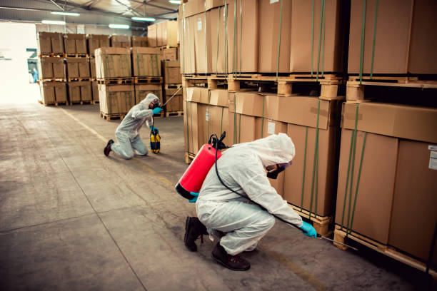 Best Exterminator Services  in Sparks, NV