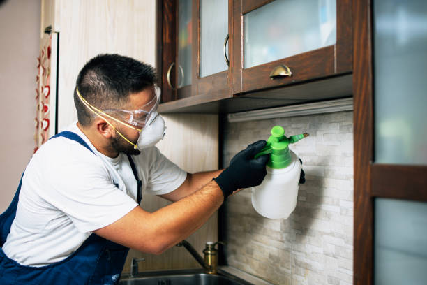 Pest Control for Restaurants in Sparks, NV