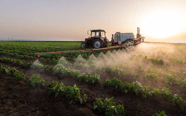 Best Pest Removal Services  in Sparks, NV