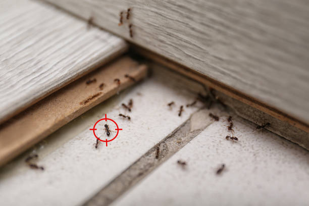Best Commercial Pest Control Services  in Sparks, NV