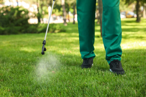 Best Pest Prevention Services  in Sparks, NV