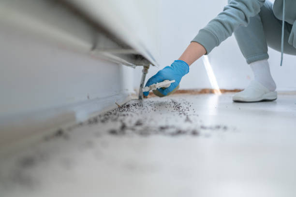 Best Commercial Pest Control Services  in Sparks, NV